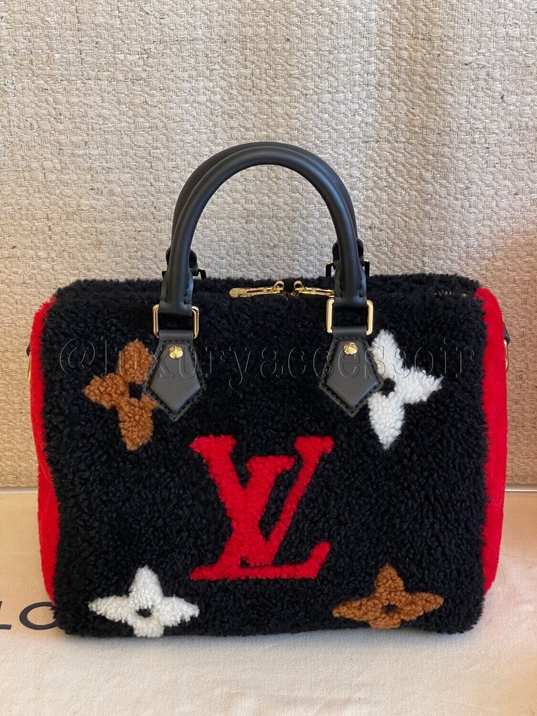 100 Original Louis Vuitton Speedy 25 Bandouliere Teddy Shearing